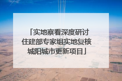 实地察看深度研讨 住建部专家组实地复核城阳城市更新项目