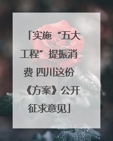 实施“五大工程”提振消费 四川这份《方案》公开征求意见