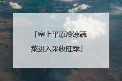 塞上平原冷凉蔬菜进入采收旺季