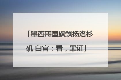 墨西哥国旗飘扬洛杉矶 白宫：看，罪证