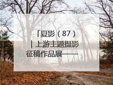 夏影（87）｜上游主题摄影征稿作品展——周社根作品