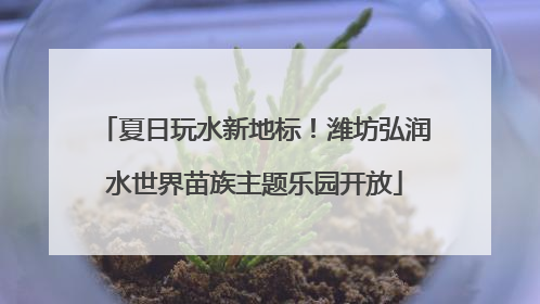 夏日玩水新地标！潍坊弘润水世界苗族主题乐园开放