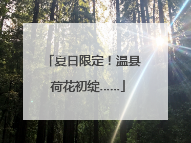夏日限定！温县荷花初绽……