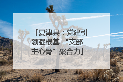 夏津县：党建引领强根基 “支部主心骨”聚合力