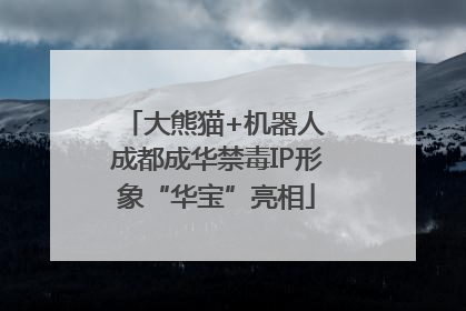 大熊猫+机器人 成都成华禁毒IP形象“华宝”亮相