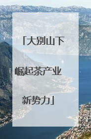 大别山下崛起茶产业新势力