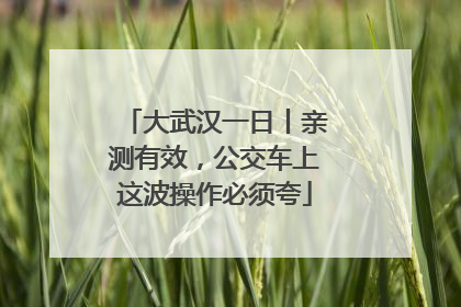 大武汉一日丨亲测有效，公交车上这波操作必须夸
