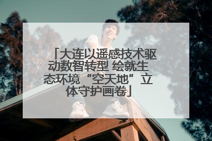 大连以遥感技术驱动数智转型 绘就生态环境“空天地”立体守护画卷