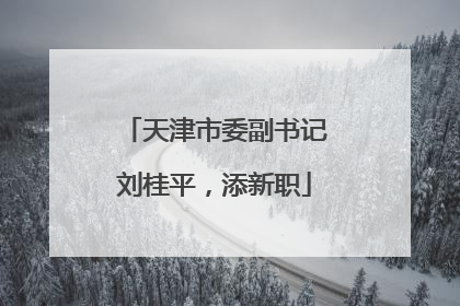 天津市委副书记刘桂平，添新职