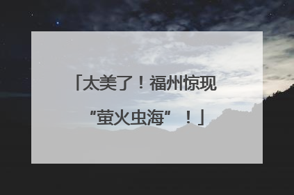 太美了！福州惊现“萤火虫海”！