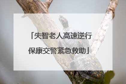 失智老人高速逆行 保康交警紧急救助