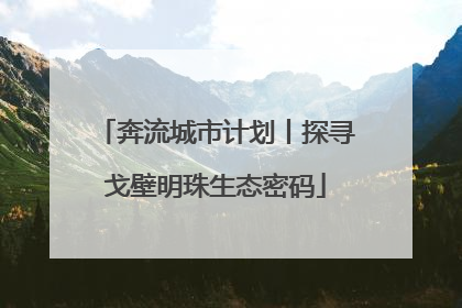 奔流城市计划丨探寻戈壁明珠生态密码