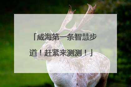 威海第一条智慧步道！赶紧来测测！