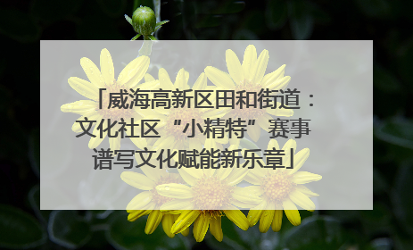 威海高新区田和街道：文化社区“小精特”赛事谱写文化赋能新乐章