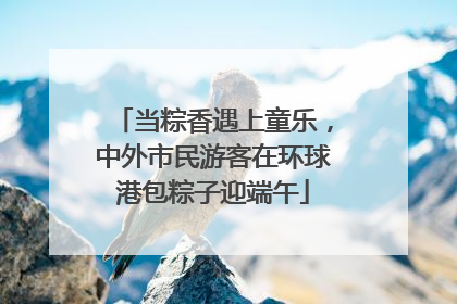 当粽香遇上童乐，中外市民游客在环球港包粽子迎端午