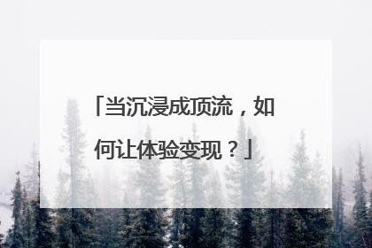 当沉浸成顶流，如何让体验变现？