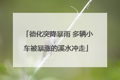 德化突降暴雨 多辆小车被暴涨的溪水冲走