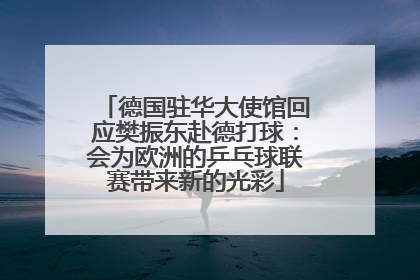 德国驻华大使馆回应樊振东赴德打球：会为欧洲的乒乓球联赛带来新的光彩