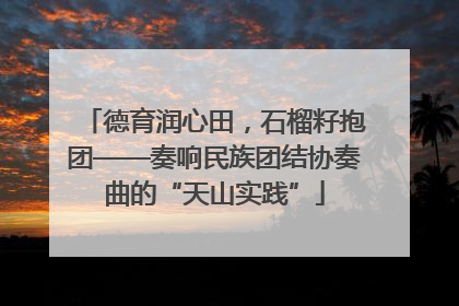 德育润心田，石榴籽抱团——奏响民族团结协奏曲的“天山实践”