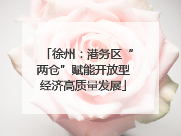 徐州：港务区“两仓”赋能开放型经济高质量发展