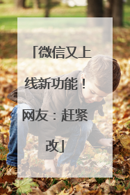 微信又上线新功能！网友：赶紧改