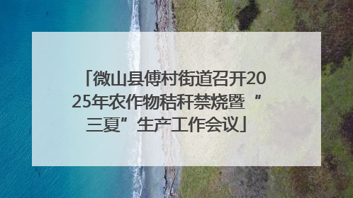 微山县傅村街道召开2025年农作物秸秆禁烧暨“三夏”生产工作会议