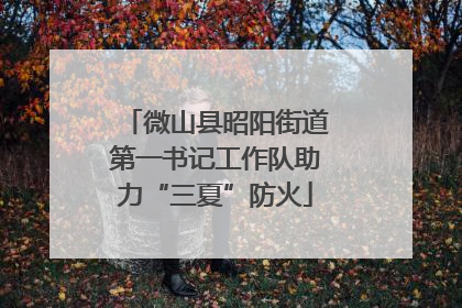 微山县昭阳街道第一书记工作队助力“三夏”防火