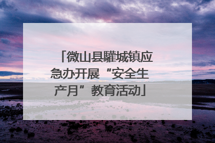 微山县驩城镇应急办开展“安全生产月”教育活动