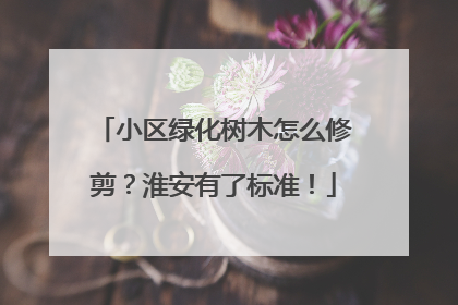 小区绿化树木怎么修剪？淮安有了标准！