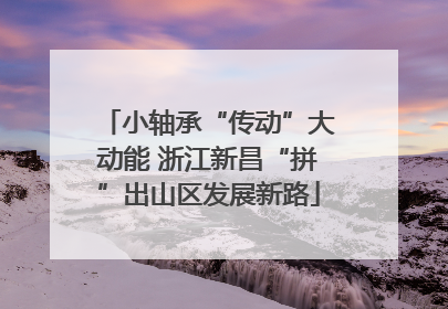 小轴承“传动”大动能 浙江新昌“拼”出山区发展新路