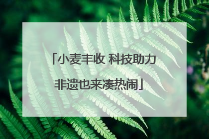 小麦丰收 科技助力 非遗也来凑热闹