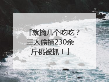 就摘几个吃吃？三人偷摘230余斤桃被抓！