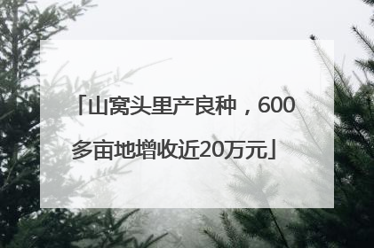 山窝头里产良种，600多亩地增收近20万元