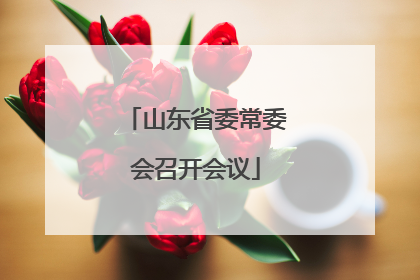 山东省委常委会召开会议