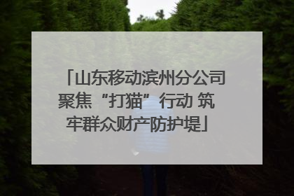 山东移动滨州分公司聚焦“打猫”行动 筑牢群众财产防护堤
