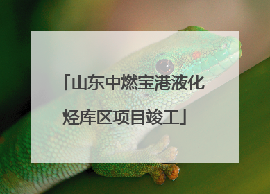 山东中燃宝港液化烃库区项目竣工