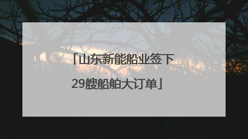 山东新能船业签下29艘船舶大订单