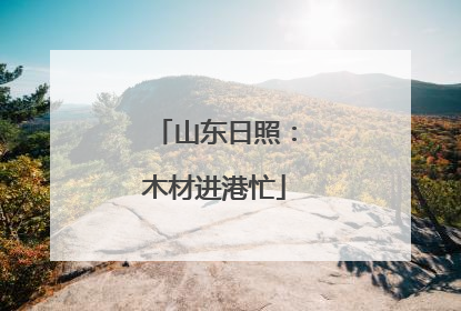 山东日照：木材进港忙