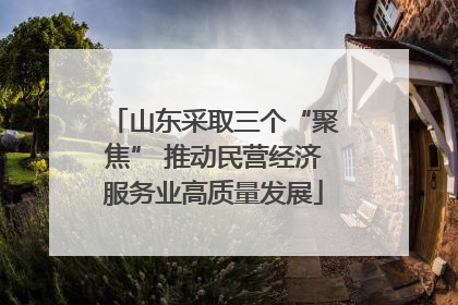 山东采取三个“聚焦” 推动民营经济服务业高质量发展