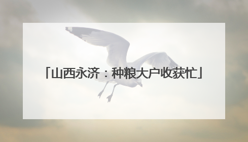 山西永济：种粮大户收获忙