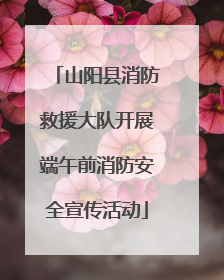 山阳县消防救援大队开展端午前消防安全宣传活动