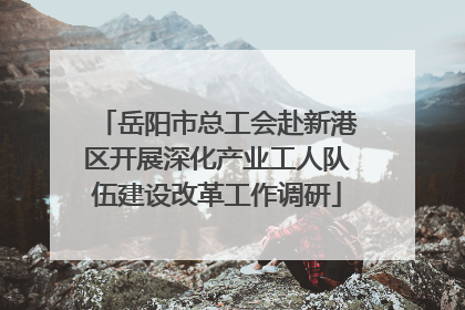 岳阳市总工会赴新港区开展深化产业工人队伍建设改革工作调研
