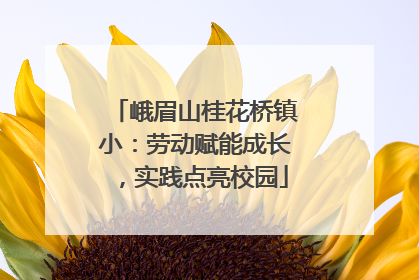 峨眉山桂花桥镇小：劳动赋能成长，实践点亮校园