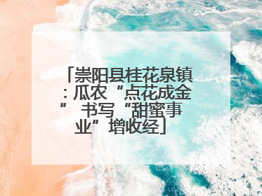 崇阳县桂花泉镇:瓜农“点花成金” 书写“甜蜜事业”增收经