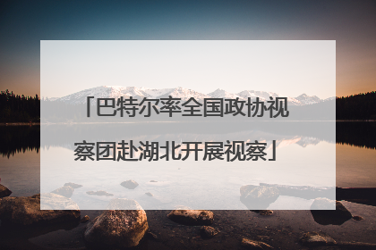 巴特尔率全国政协视察团赴湖北开展视察