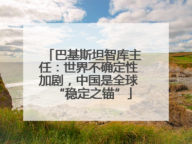 巴基斯坦智库主任：世界不确定性加剧，中国是全球“稳定之锚”