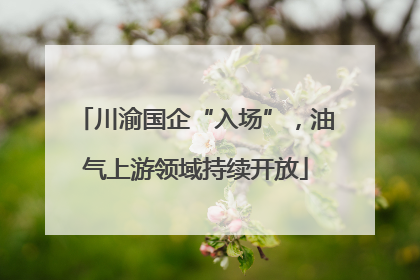 川渝国企“入场”，油气上游领域持续开放