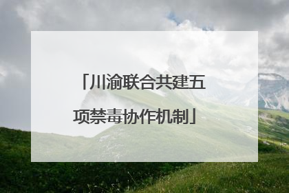 川渝联合共建五项禁毒协作机制