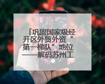巩固国家级经开区外贸外资“第一梯队”地位——解码苏州工业园区样本