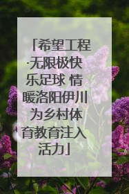 希望工程·无限极快乐足球 情暖洛阳伊川 为乡村体育教育注入活力